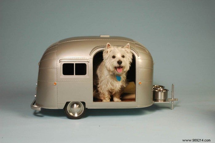 10 Adorable Mini RV Campers for Dogs: Charming Pet House Alternatives