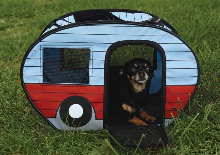 10 Adorable Mini RV Campers for Dogs: Charming Pet House Alternatives