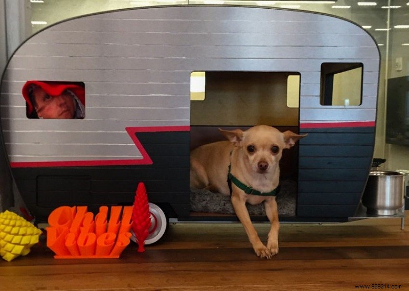 10 Adorable Mini RV Campers for Dogs: Charming Pet House Alternatives
