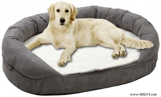 8 of the Most Stylish Dog Beds for Your Pet s Comfort