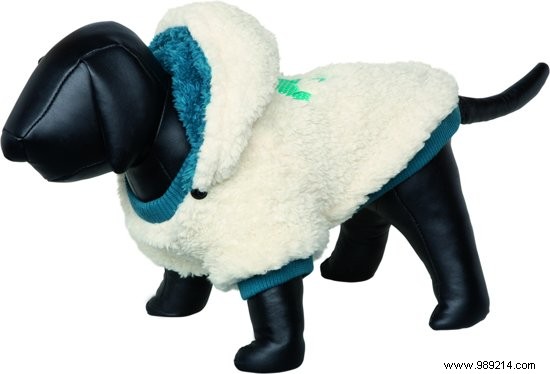 7 Cozy Dog Sweaters to Keep Your Pup Warm This Winter