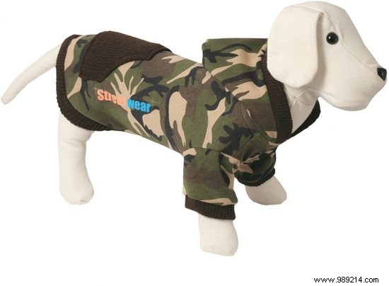 7 Cozy Dog Sweaters to Keep Your Pup Warm This Winter