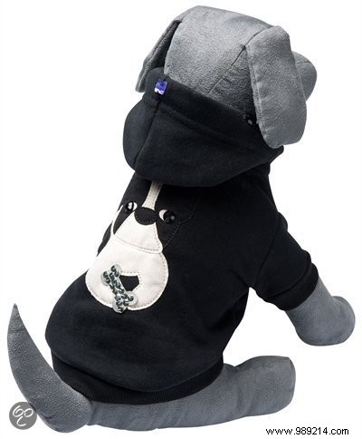 7 Cozy Dog Sweaters to Keep Your Pup Warm This Winter