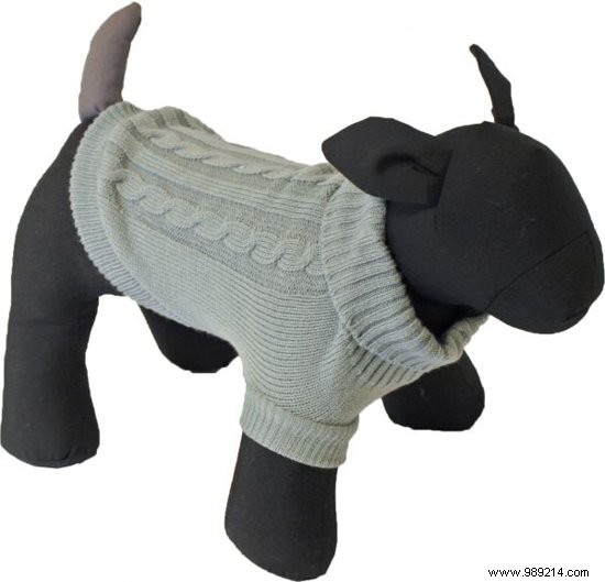 7 Cozy Dog Sweaters to Keep Your Pup Warm This Winter