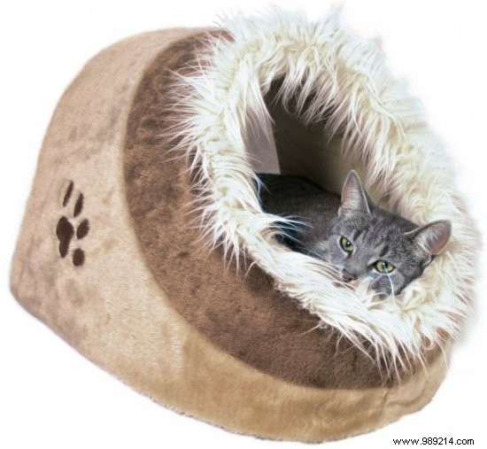 Top 7 Stylish Cat Baskets for Ultimate Comfort