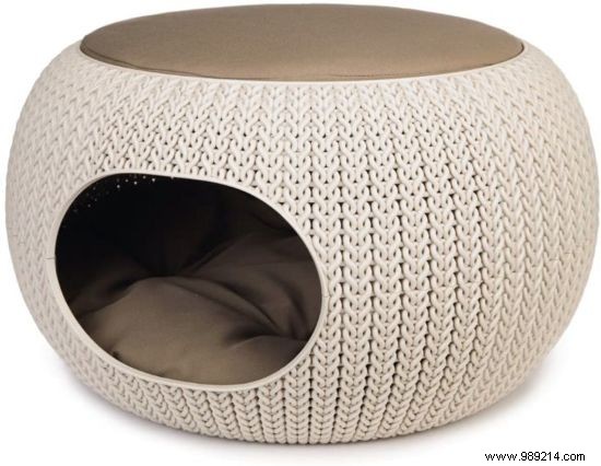 Top 7 Stylish Cat Baskets for Ultimate Comfort