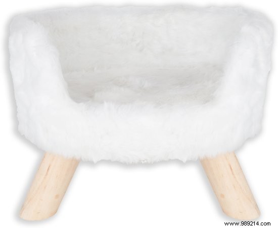 Top 7 Stylish Cat Baskets for Ultimate Comfort