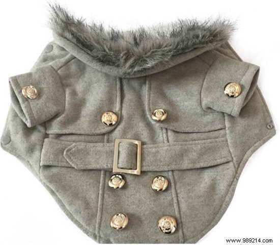 11 Top Dog Coats to Keep Your Pup Warm This Winter