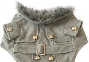 11 Top Dog Coats to Keep Your Pup Warm This Winter