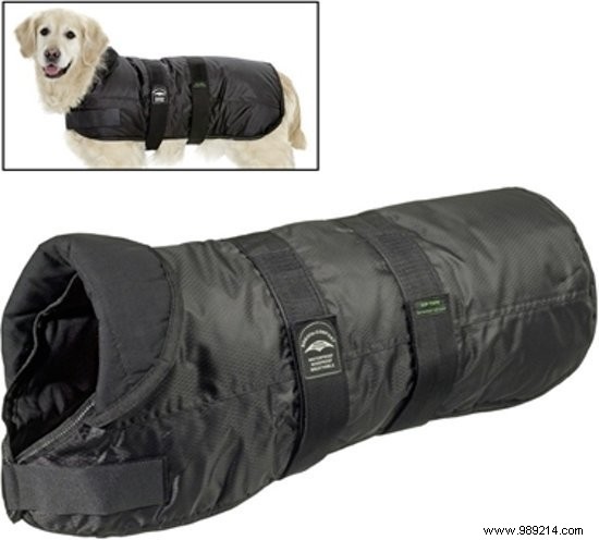 11 Top Dog Coats to Keep Your Pup Warm This Winter