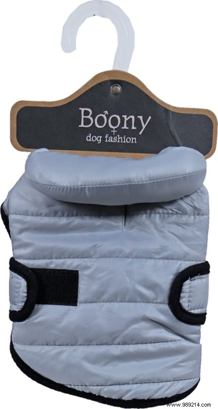 11 Top Dog Coats to Keep Your Pup Warm This Winter