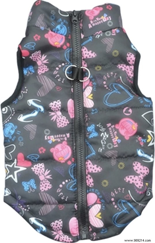 11 Top Dog Coats to Keep Your Pup Warm This Winter