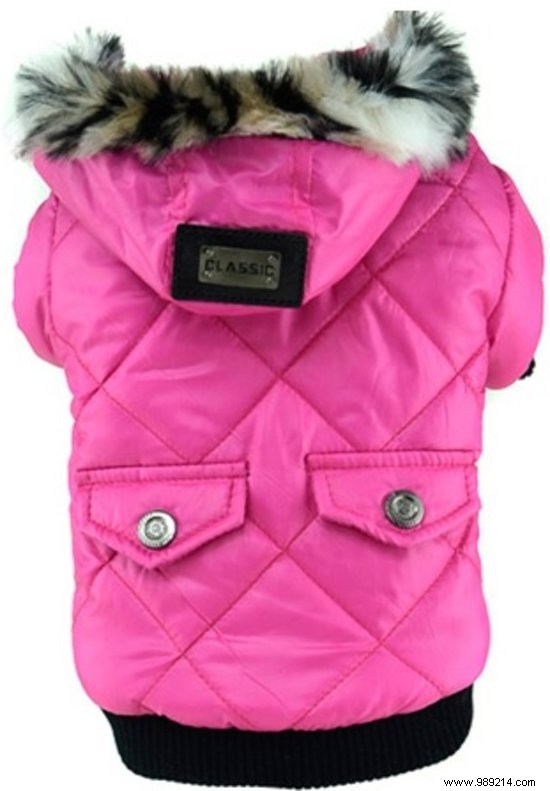 11 Top Dog Coats to Keep Your Pup Warm This Winter