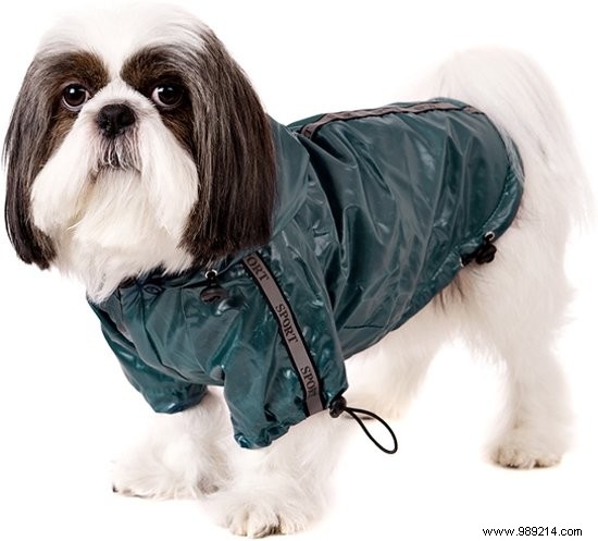 11 Top Dog Coats to Keep Your Pup Warm This Winter