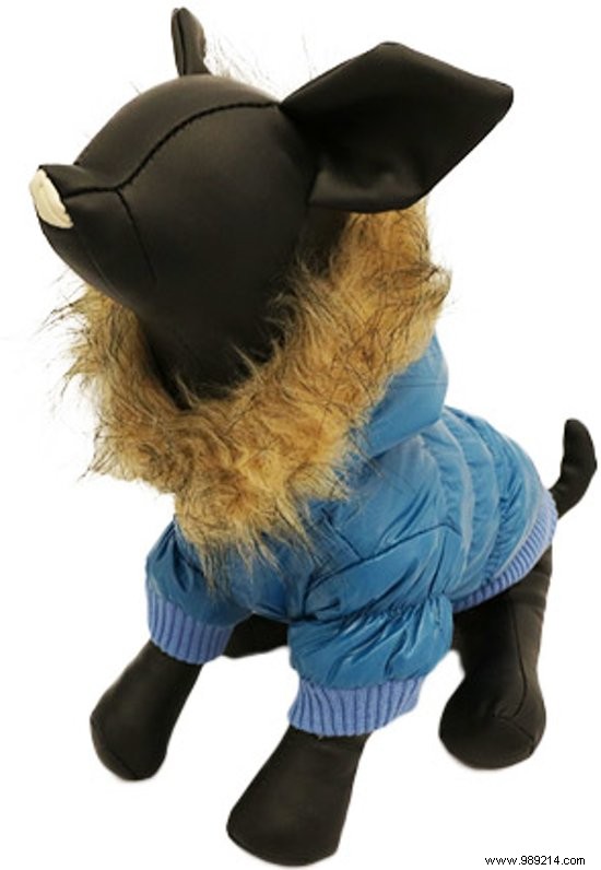 11 Top Dog Coats to Keep Your Pup Warm This Winter