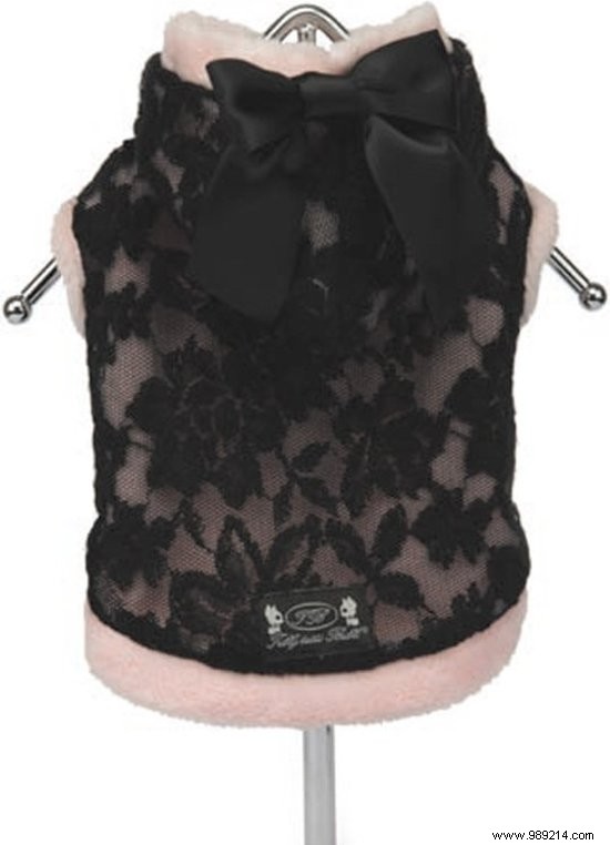 11 Top Dog Coats to Keep Your Pup Warm This Winter