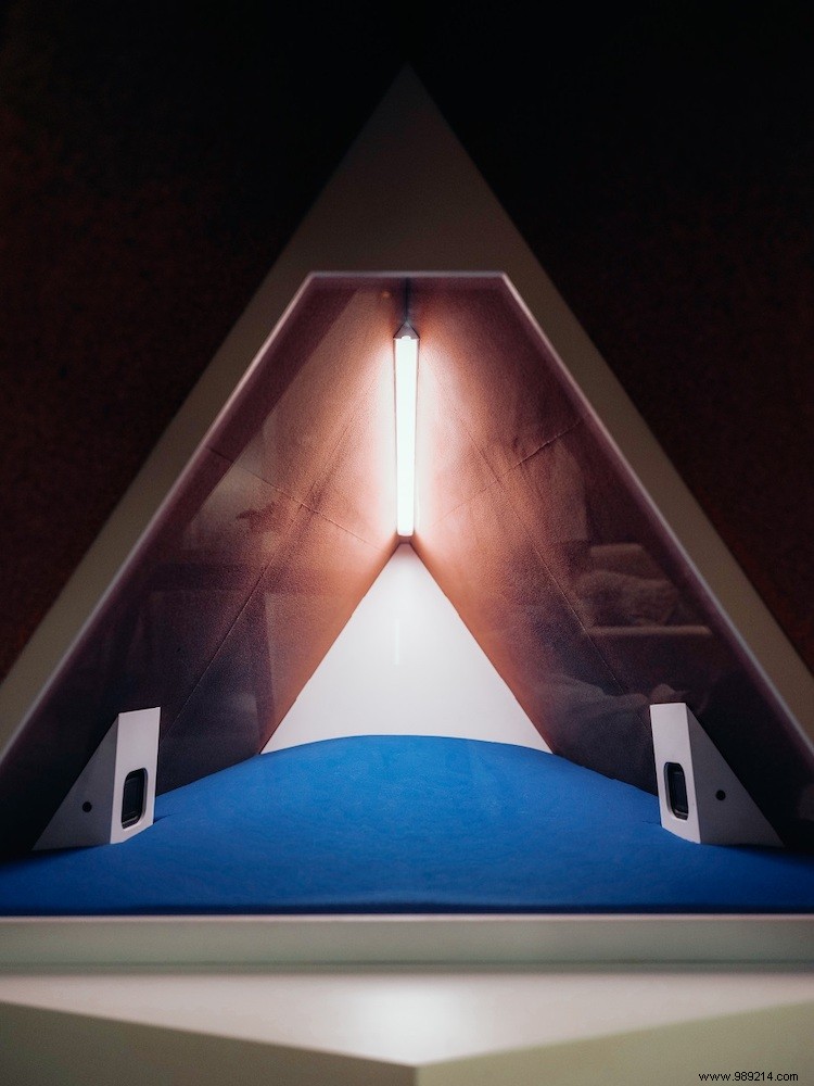 Ford s Innovative Noise-Canceling Dog House: A Stress-Free Solution for Firework-Phobic Pets on New Year s Eve