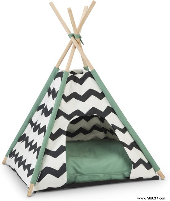 15 Expert-Picked Gifts for World Animal Day: Delight Your Pets