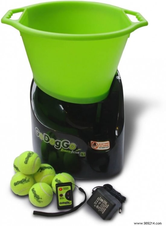 15 Expert-Picked Gifts for World Animal Day: Delight Your Pets