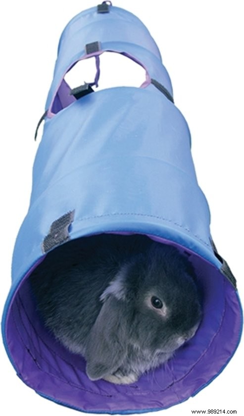 15 Expert-Picked Gifts for World Animal Day: Delight Your Pets