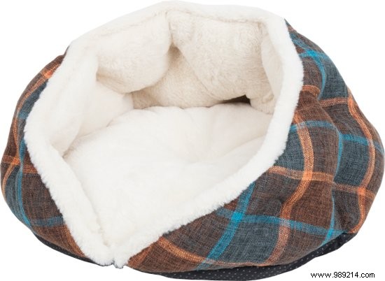 15 Expert-Picked Gifts for World Animal Day: Delight Your Pets