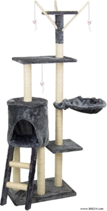 15 Expert-Picked Gifts for World Animal Day: Delight Your Pets