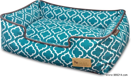 15 Expert-Picked Gifts for World Animal Day: Delight Your Pets