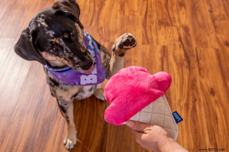Ben & Jerry s Launches Doggie Desserts: Premium Frozen Treats for Dogs