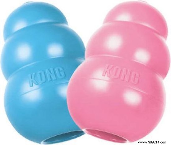 Fun and Safe Puppy Games: Expert Tips for Bonding and Training