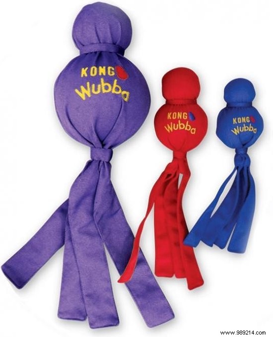 Fun and Safe Puppy Games: Expert Tips for Bonding and Training