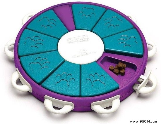 Fun and Safe Puppy Games: Expert Tips for Bonding and Training