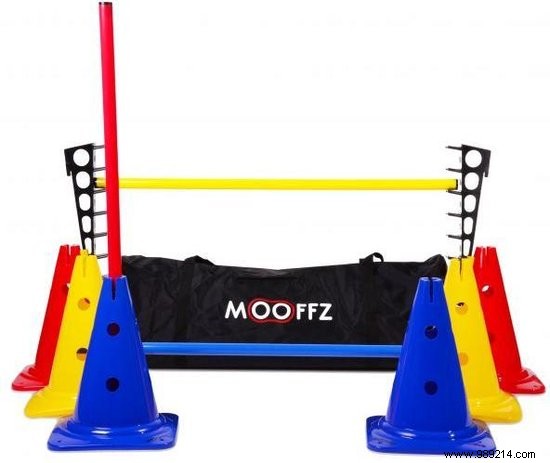 Fun and Safe Puppy Games: Expert Tips for Bonding and Training