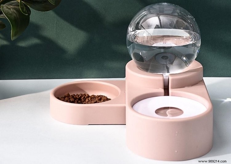 Essential Puppy Gear: Must-Haves for Your New Dog s First Weeks at Home