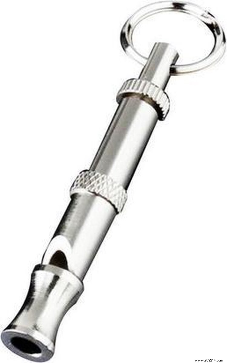 Essential Puppy Gear: Must-Haves for Your New Dog s First Weeks at Home