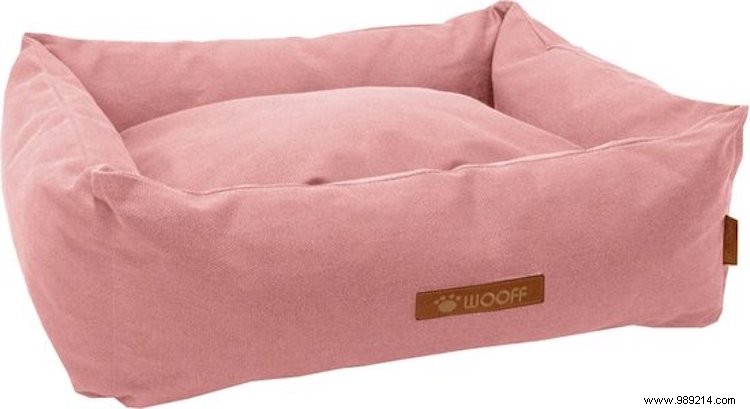 Essential Puppy Gear: Must-Haves for Your New Dog s First Weeks at Home