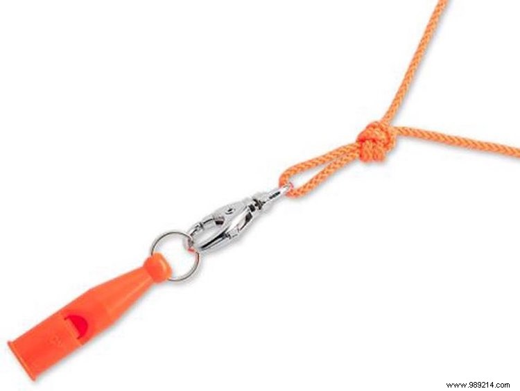 Essential Puppy Gear: Must-Haves for Your New Dog s First Weeks at Home