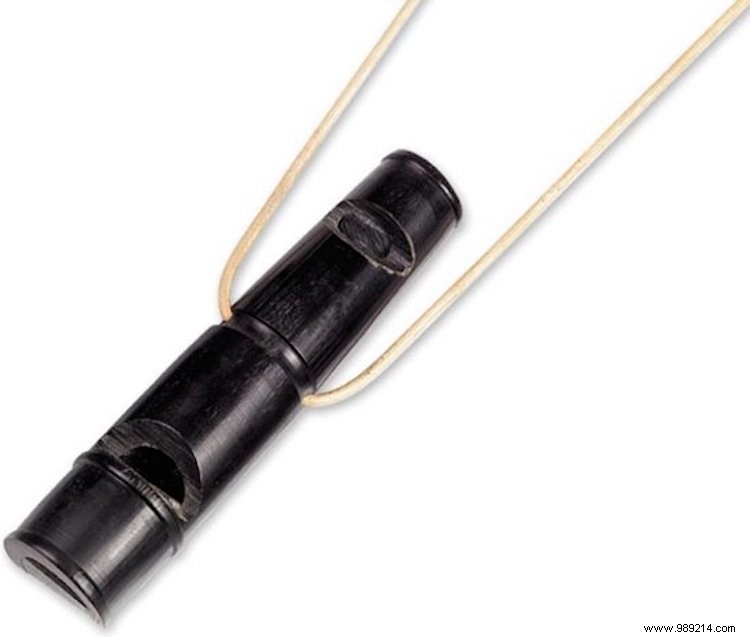 Essential Puppy Gear: Must-Haves for Your New Dog s First Weeks at Home