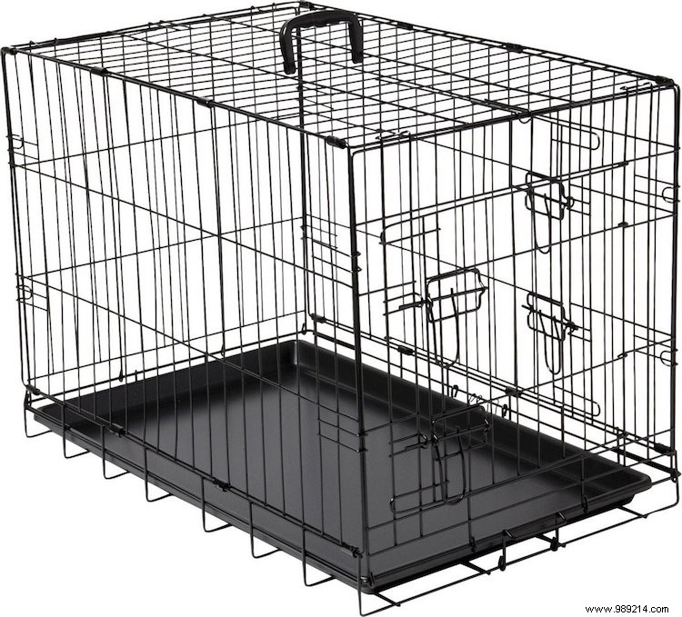 Essential Puppy Gear: Must-Haves for Your New Dog s First Weeks at Home