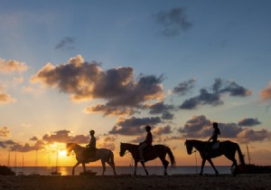 Discover Formentera: Premier Hiking, Cycling, and Horseback Riding Trails