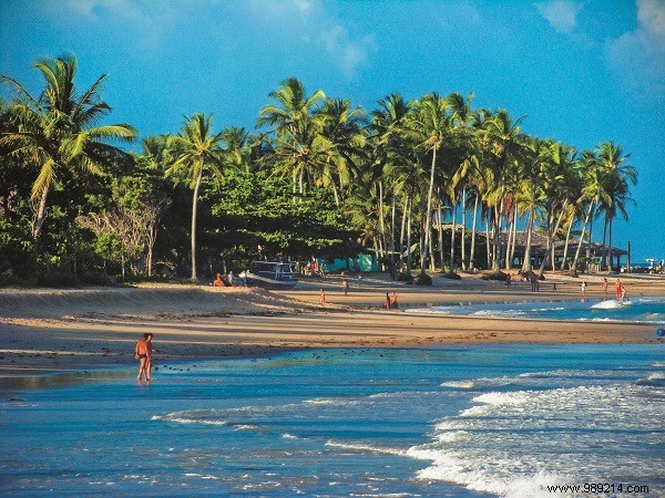 Discover 7 Paradise Gems in Bahia, Brazil: Beaches, Surfing & Whale Watching