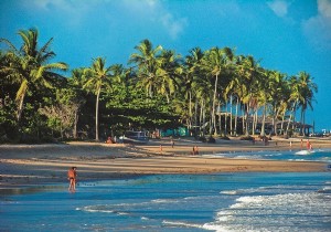 Discover 7 Paradise Gems in Bahia, Brazil: Beaches, Surfing & Whale Watching