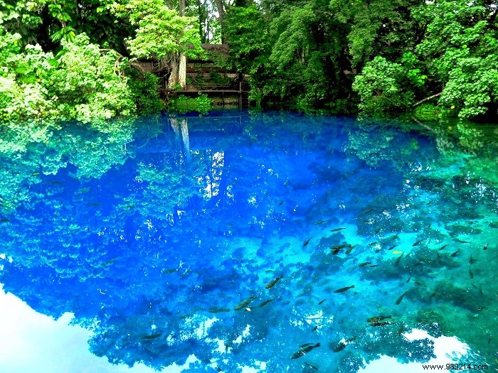 Discover the 12 Most Stunning Natural Swimming Pools Around the World