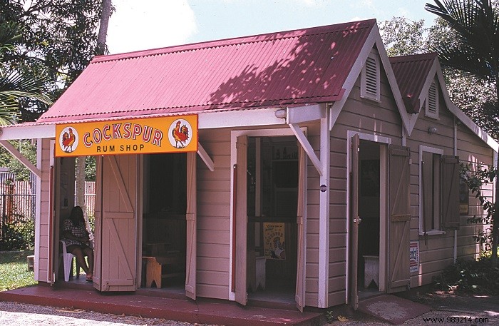 8 Proven Budget Tips for an Affordable Barbados Vacation