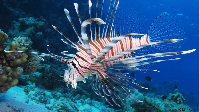 Discover Central America: Premier Destinations for Adventure and Nature Lovers