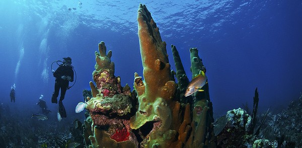 Epic Adventures in Central America: Expert Tips and Must-See Experiences