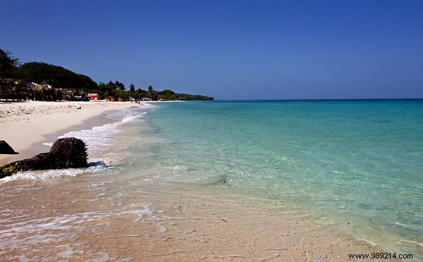 Epic Adventures in Central America: Expert Tips and Must-See Experiences