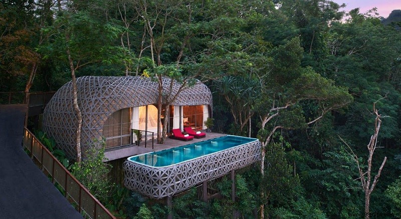Top 10 Magical Treehouse Hotels Worldwide for Treetop Escapes