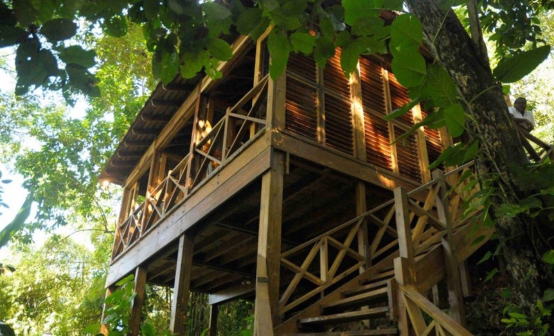 Top 10 Magical Treehouse Hotels Worldwide for Treetop Escapes