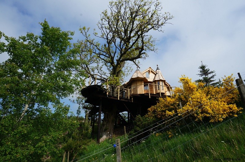 Top 10 Magical Treehouse Hotels Worldwide for Treetop Escapes
