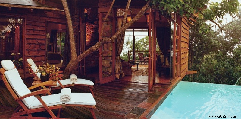Top 10 Magical Treehouse Hotels Worldwide for Treetop Escapes